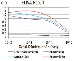 TRIM25 Antibody in ELISA (ELISA)