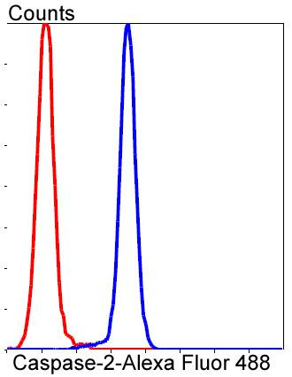 Caspase 2 Antibody in Flow Cytometry (Flow)