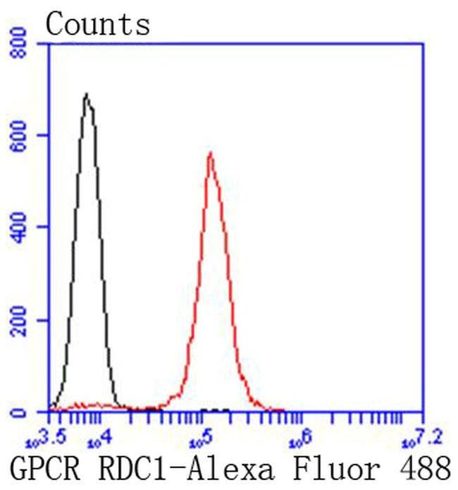 CXCR7 Antibody in Flow Cytometry (Flow)