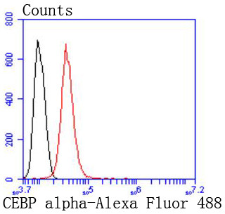C/EBP alpha Antibody in Flow Cytometry (Flow)
