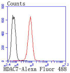 HDAC7 Antibody in Flow Cytometry (Flow)