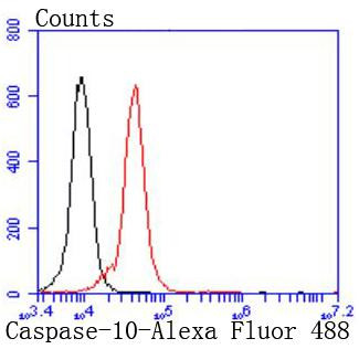 Caspase 10 Antibody in Flow Cytometry (Flow)