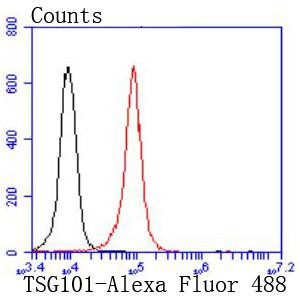 TSG101 Antibody in Flow Cytometry (Flow)