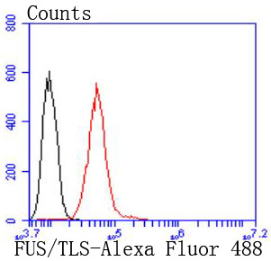 FUS Antibody in Flow Cytometry (Flow)