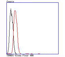 TrxR1 Antibody in Flow Cytometry (Flow)