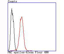 PKC epsilon Antibody in Flow Cytometry (Flow)