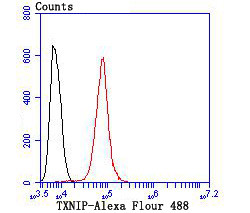 TXNIP Antibody in Flow Cytometry (Flow)
