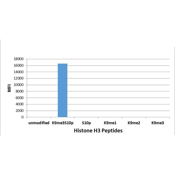 H3K9me3S10ph Antibody in Luminex (LUM)