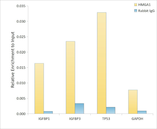 HMGA1 Antibody in ChIP Assay (ChIP)