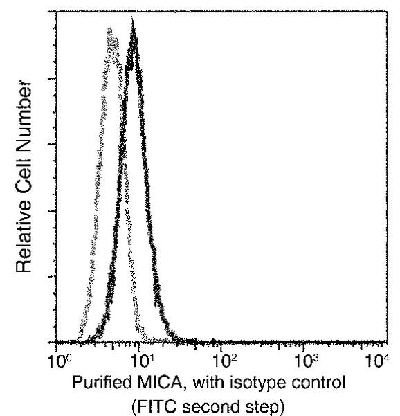MICA Antibody in Flow Cytometry (Flow)