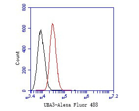 UBA3 Antibody in Flow Cytometry (Flow)