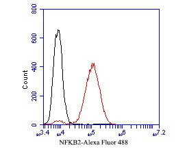 NFKB2 Antibody in Flow Cytometry (Flow)