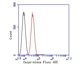 CASPR Antibody in Flow Cytometry (Flow)