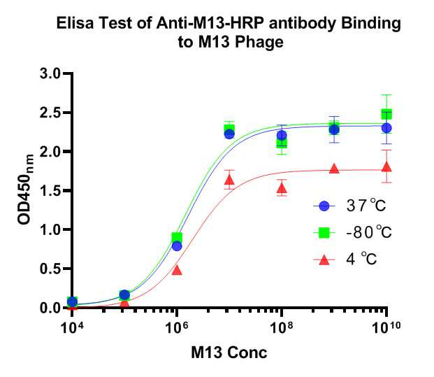 M13 phage coat protein Antibody in ELISA (ELISA)