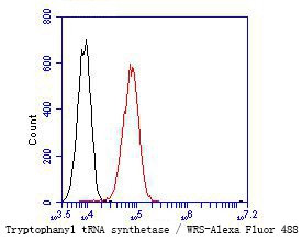 WARS Antibody in Flow Cytometry (Flow)