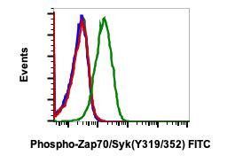 Phospho-ZAP70/Syk (Tyr319, Tyr352) Antibody in Flow Cytometry (Flow)