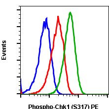 Phospho-Chk1 (Ser317) Antibody in Flow Cytometry (Flow)