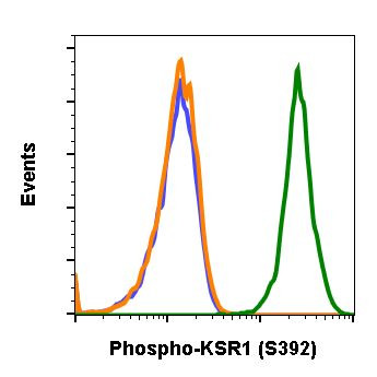 Phospho-KSR1 (Ser392) Antibody in Flow Cytometry (Flow)