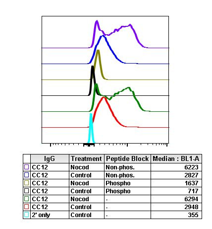 Phospho-Aurora A/B/C (Thr288, Thr232, Thr198) Antibody in Flow Cytometry (Flow)