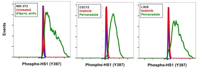 Phospho-HCLS1 (Tyr397) Antibody in Flow Cytometry (Flow)