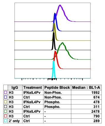 Phospho-NFkB p65 (Ser529) Antibody in Flow Cytometry (Flow)