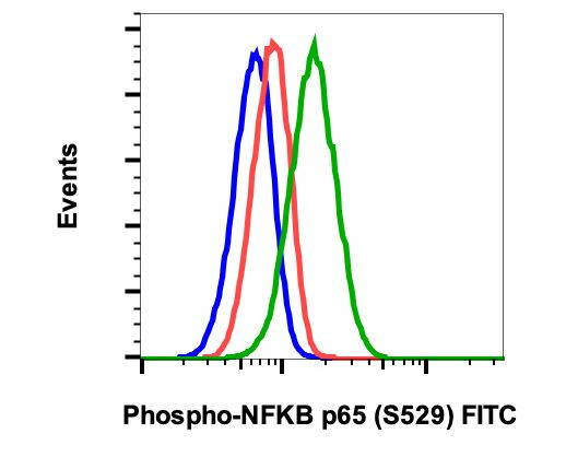 Phospho-NFkB P65 (Ser529) Recombinant Monoclonal Antibody (NFkBp65S529 ...