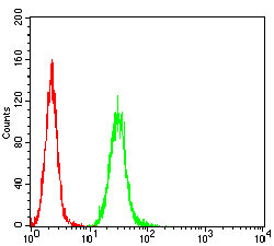 RALB Antibody in Flow Cytometry (Flow)