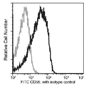 CD55 Antibody in Flow Cytometry (Flow)