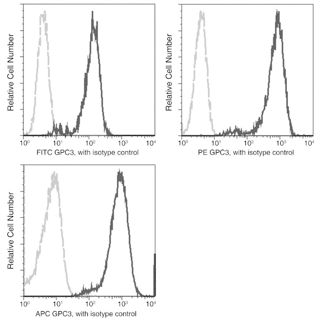 Glypican 3 Recombinant Monoclonal Antibody (024), PE (MA5-40988)