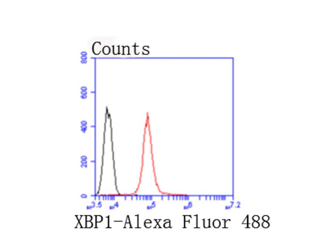 XBP1 Antibody in Flow Cytometry (Flow)