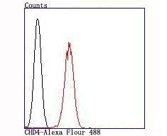 CHD4 Antibody in Flow Cytometry (Flow)