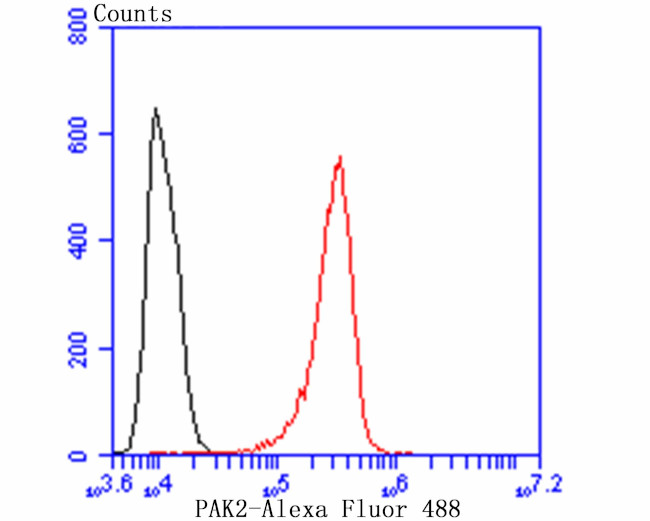 PAK2 Antibody in Flow Cytometry (Flow)