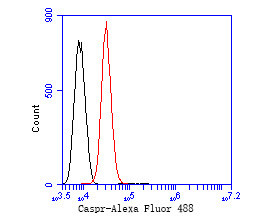 CNTNAP1 Antibody in Flow Cytometry (Flow)