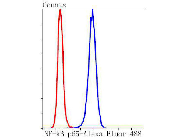 NFkB p65 Antibody in Flow Cytometry (Flow)