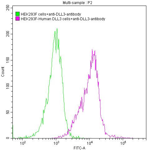 DLL3 Antibody in Flow Cytometry (Flow)