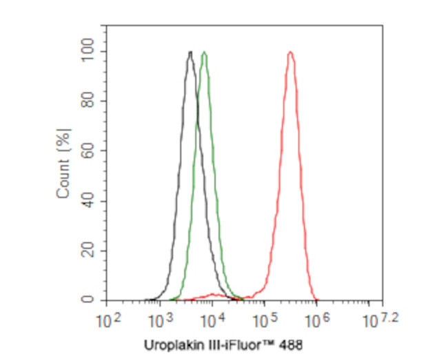 UPK3A Antibody in Flow Cytometry (Flow)