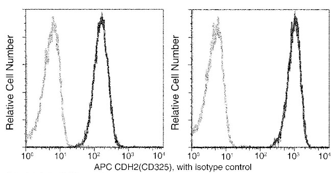 N-cadherin Antibody in Flow Cytometry (Flow)