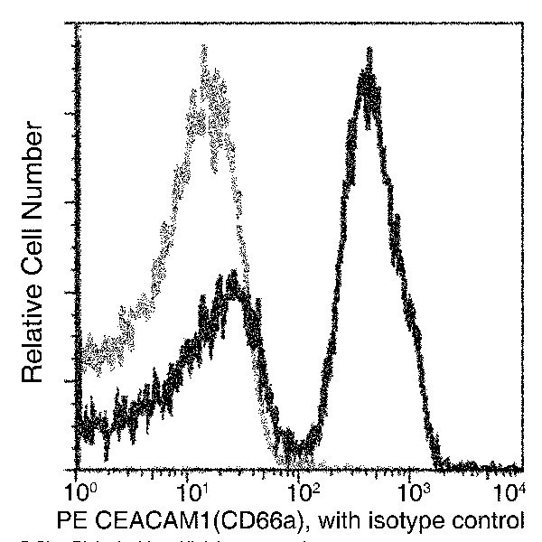 CEACAM1 Antibody in Flow Cytometry (Flow)