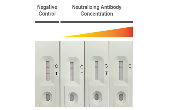 SARS-CoV-2 Spike Protein RBD Antibody in Neutralization (Neu)