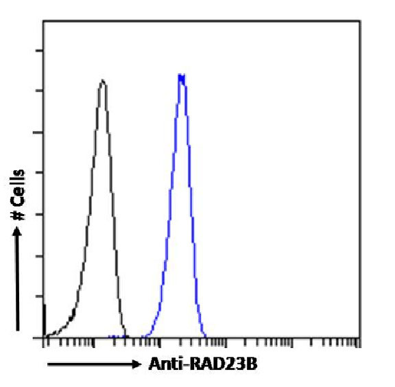RAD23B Antibody in Flow Cytometry (Flow)