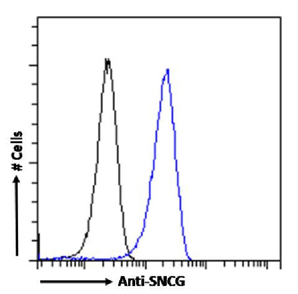 gamma Synuclein Antibody in Flow Cytometry (Flow)