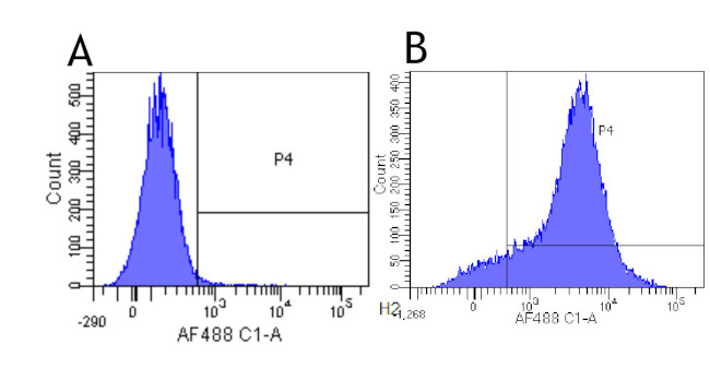 CD44 Chimeric Antibody in Flow Cytometry (Flow)