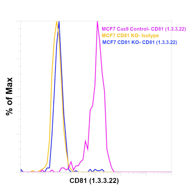 CD81 Antibody