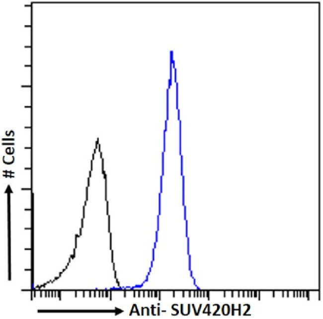 SUV420H2 Chimeric Antibody in Flow Cytometry (Flow)