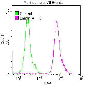 Lamin A Antibody in Flow Cytometry (Flow)