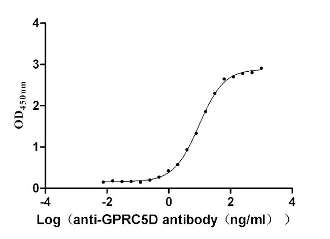 GPRC5D Antibody in Neutralization (Neu)