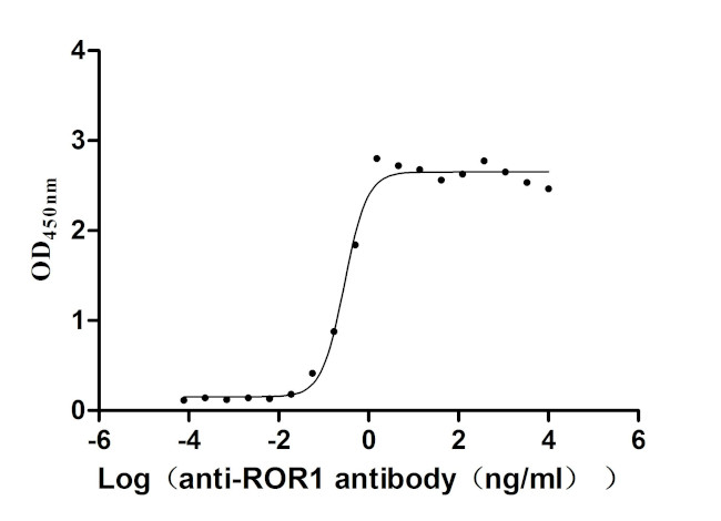 ROR1 Antibody in Neutralization (Neu)