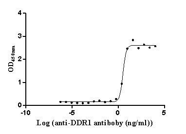 MCK10 Antibody in Neutralization (Neu)