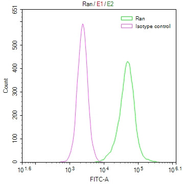 RAN Antibody in Flow Cytometry (Flow)