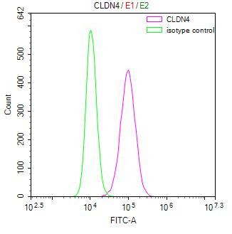 Claudin 4 Antibody in Flow Cytometry (Flow)